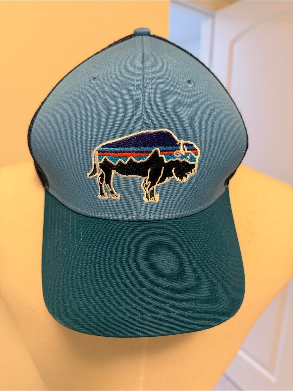 Patagonia Navy Mesh Trucker Cap with Blue Snapback